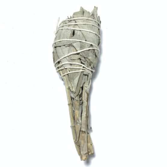 Sauge blanche amérindienne 20gr