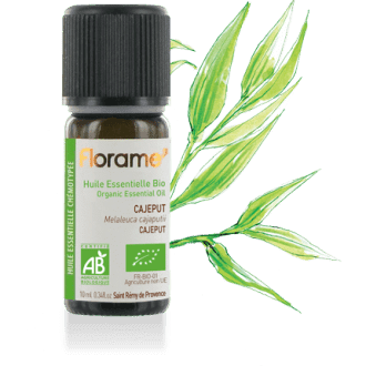 HE Cajeput Biologique 10ml