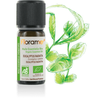 HE Eucalyptus Radiata Biologique 10ml
