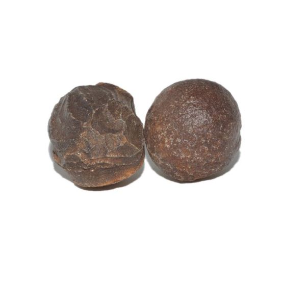 Moki ou Moqui Ball Vendu par paire MEDIUM