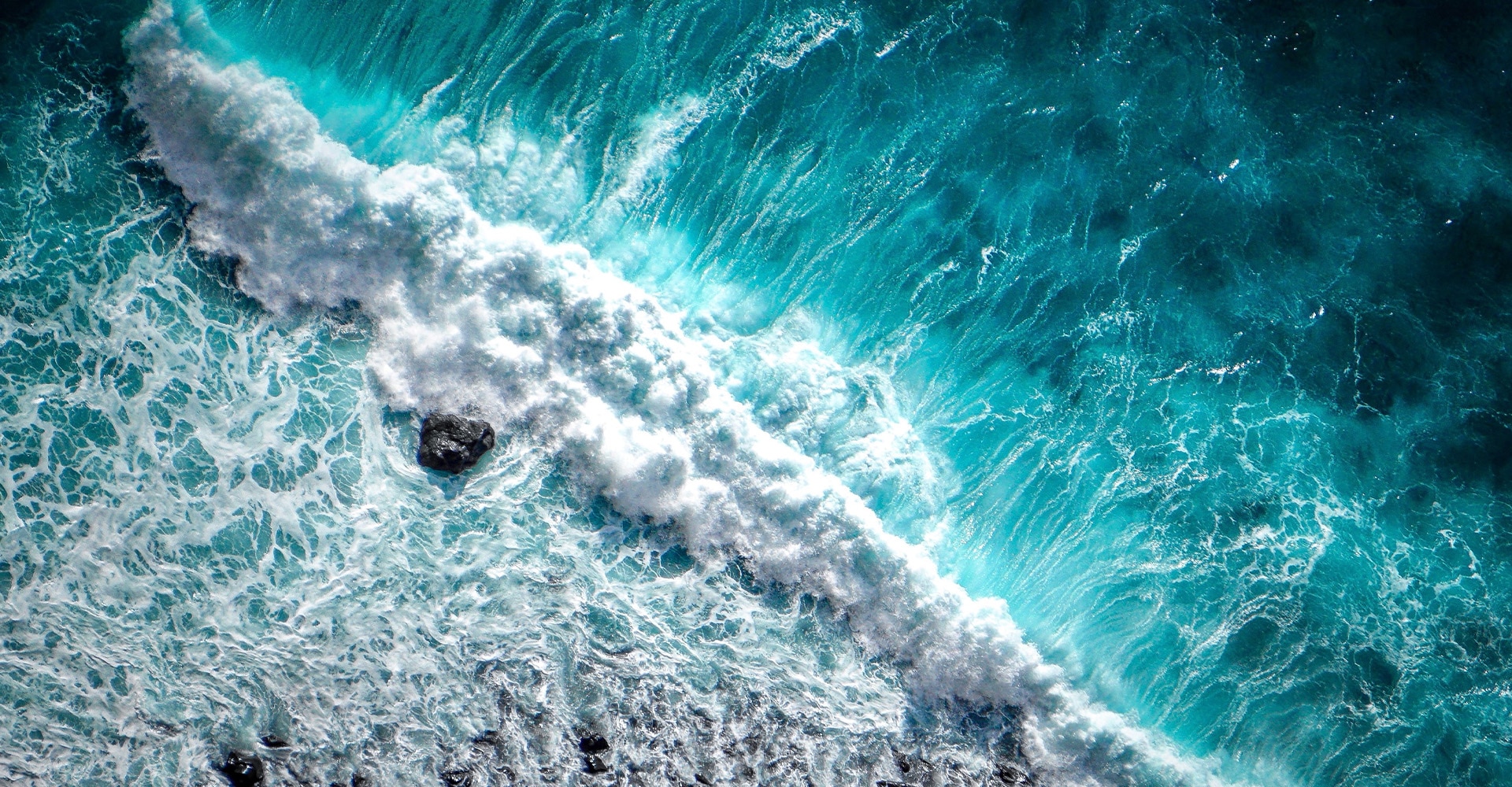 Lire la suite à propos de l’article Connaissez-vous la Thérapie Marine ?