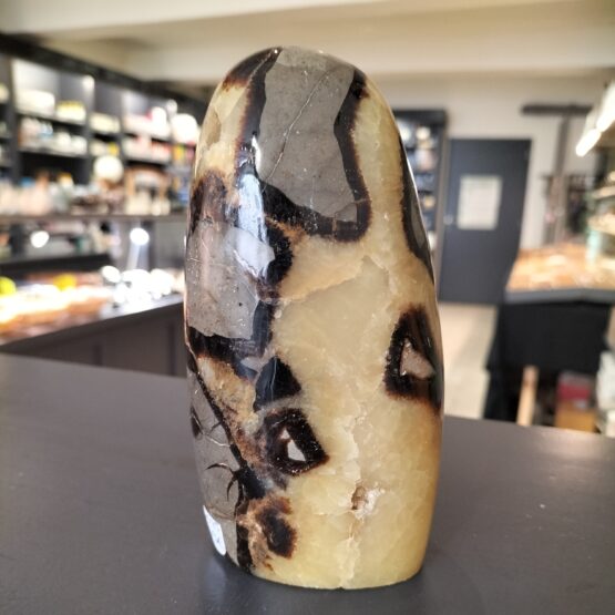 Septaria Forme libre 900gr